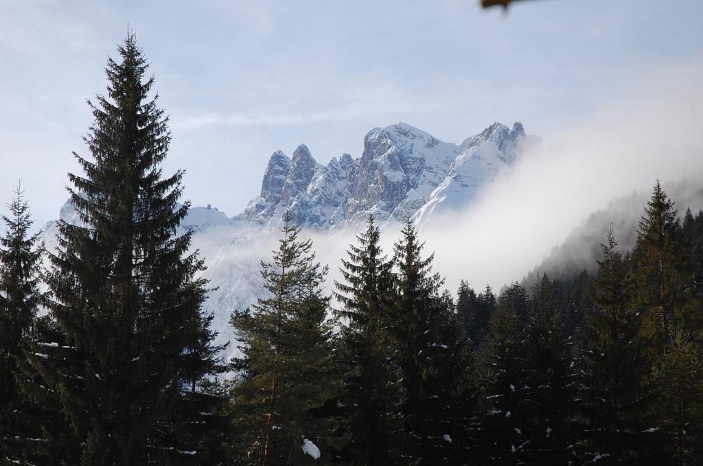 Albergo Ristorante Cacciatori Auronzo di Cadore Dış mekan fotoğraf